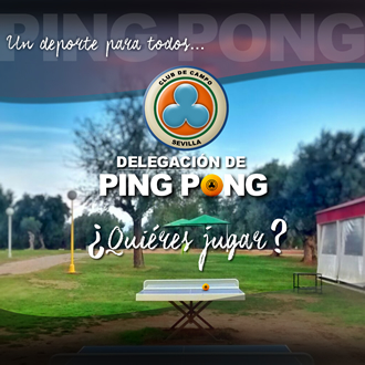 Mesas de Ping Pong exteriores